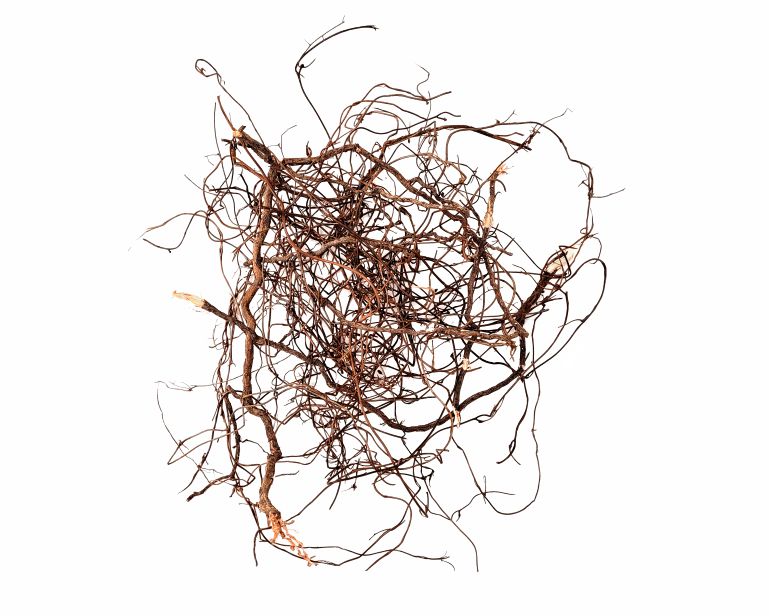 Wio Mini Root Mix 80 G