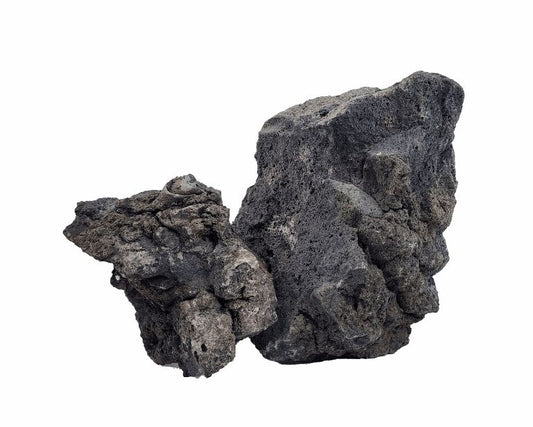Wio Darwin Black Lava Stone Kit Aquarium < 60 CM