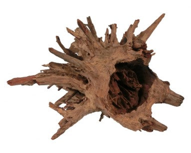 Hs Aqua Corbo-Root Large 40-60 CM