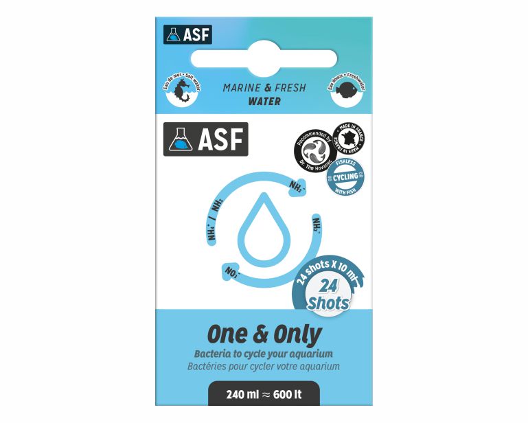 Asf One & Only 24 X 10 ML Shots