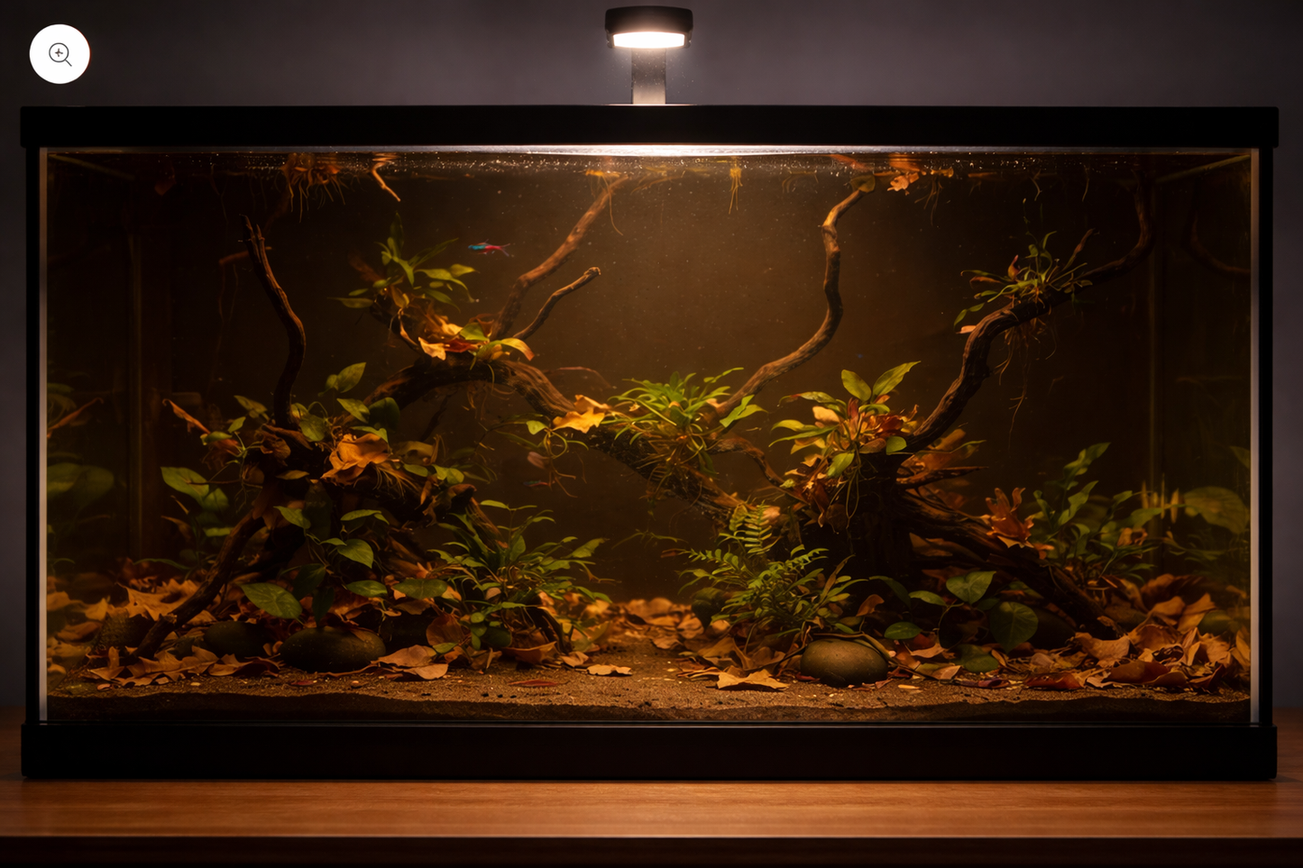Zwartwater Biotoop Planten Pakket