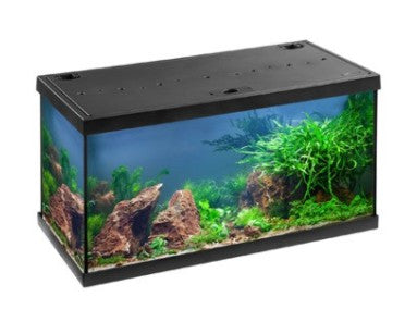 Eheim Aquarium Aquastar 54 Zwart 60X30X36 CM LED