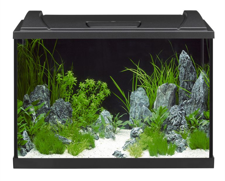 Eheim Aquarium Aquaproled 84 Zwart 60X35X40 CM 1X12W