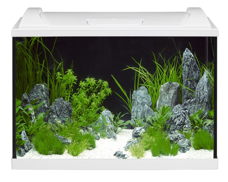 Eheim Aquarium Aquaproled 84 Wit 60X35X40 CM 1X12W