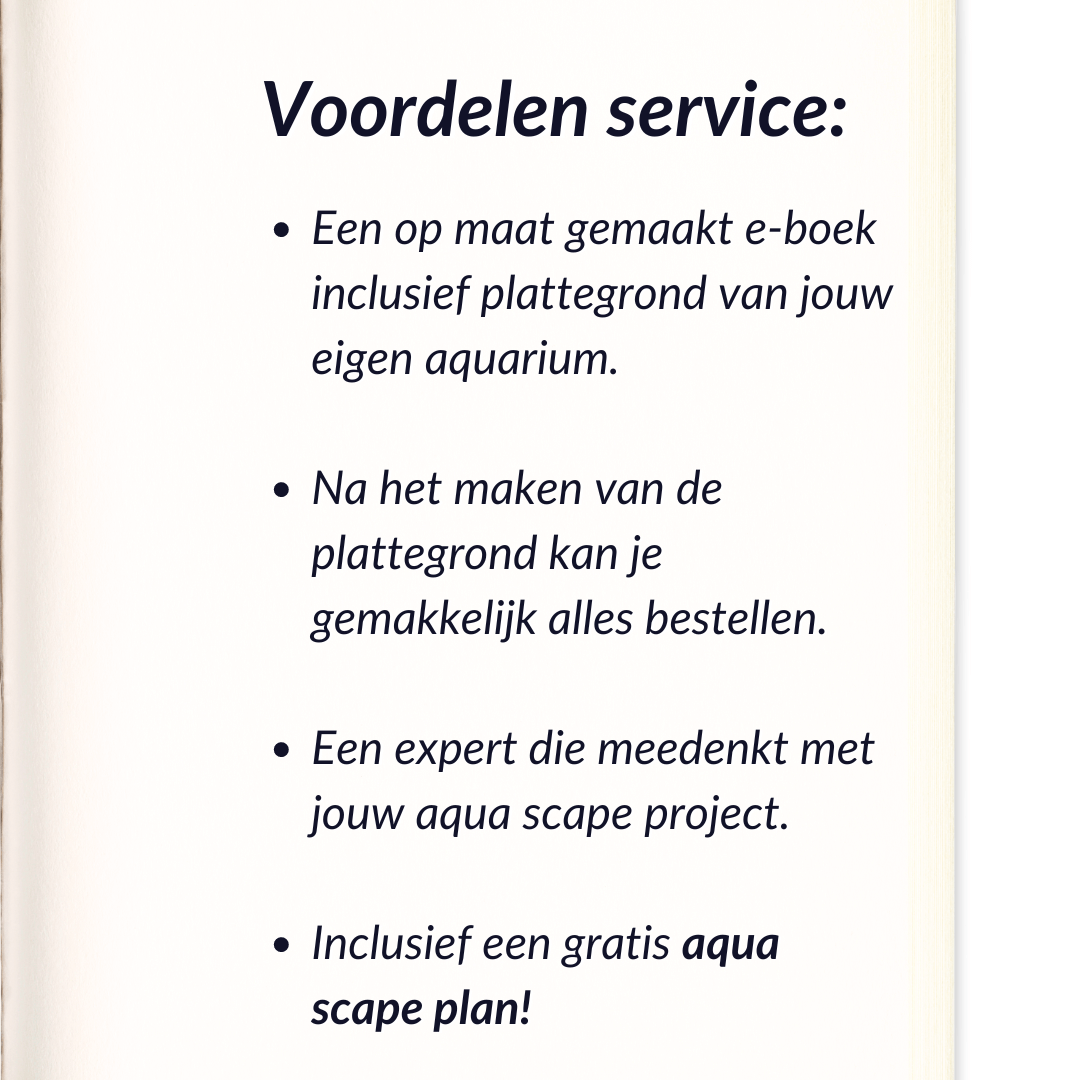 Aquarium beplantings plan op maat