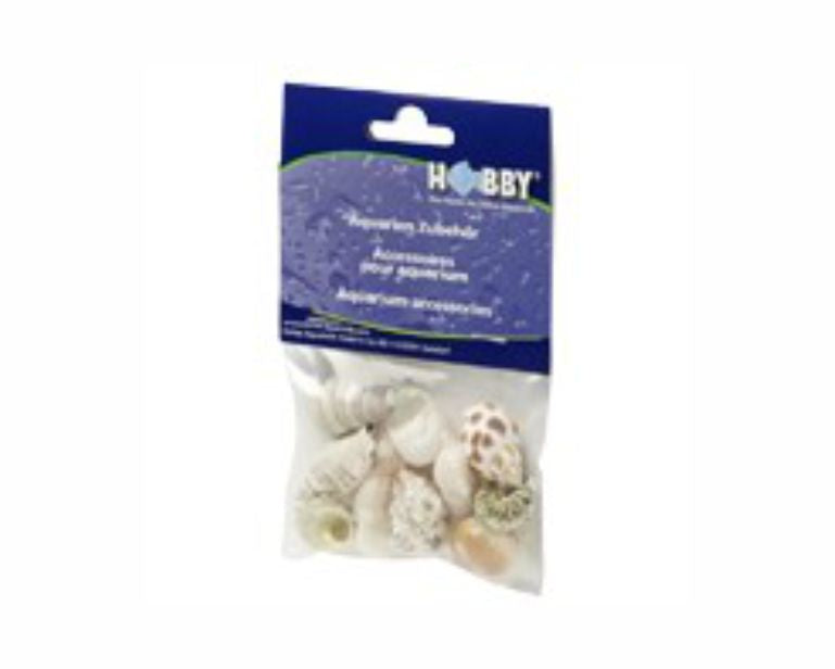 Hobby Decoratie Sea Shells Set M 10 St