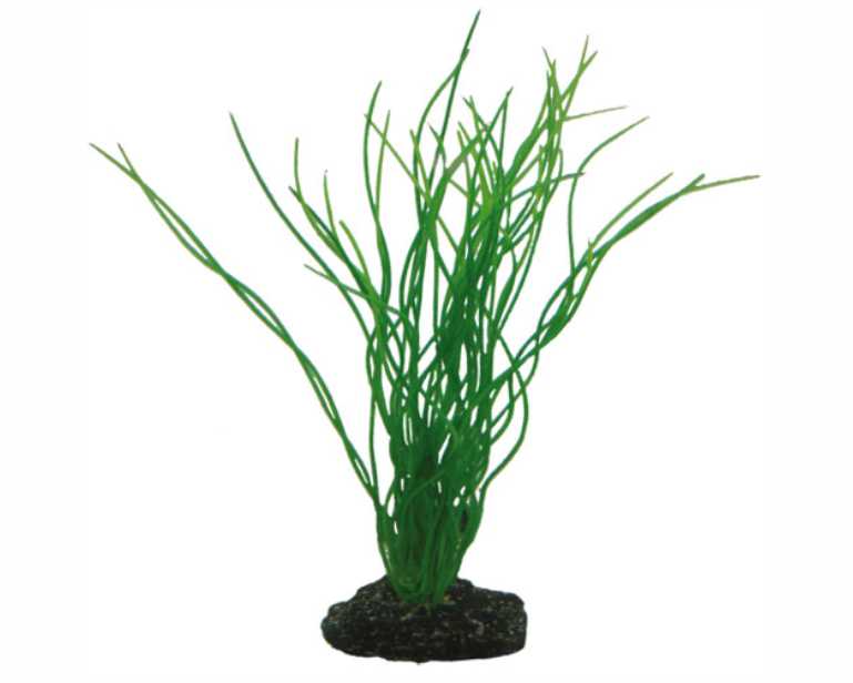 Hobby Plant Sagittaria 20 CM