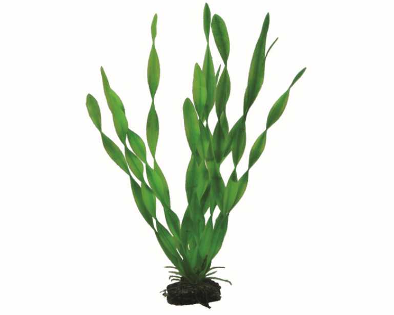 Hobby Plant Vallisneria 34 CM