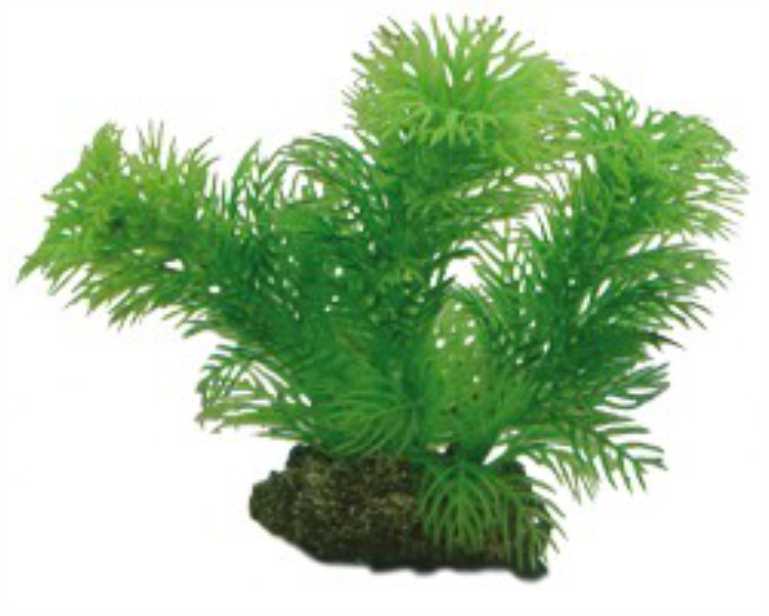 Hobby Plant Egeria 13 CM
