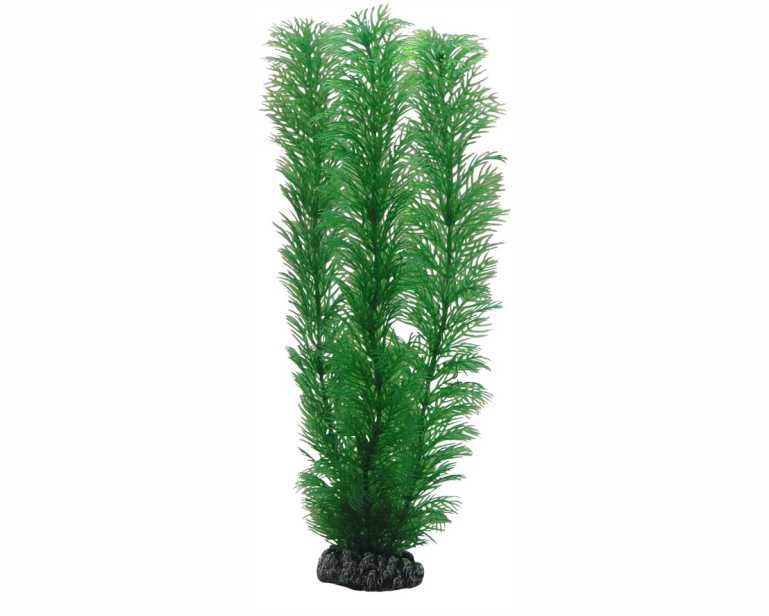 Hobby Plant Egeria 20 CM