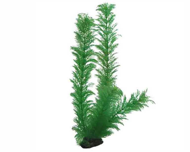 Hobby Plant Egeria 34 CM