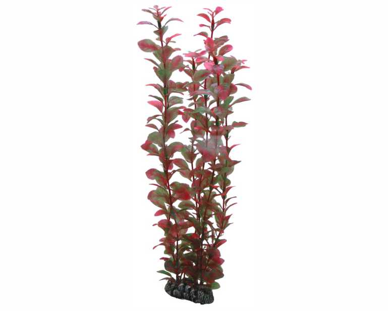 Hobby Plant Ludwigia 34 CM