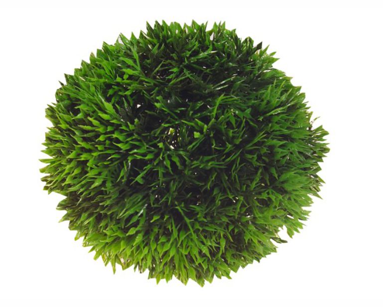 Hobby Decoratie Aqua Plant Ball 9 CM
