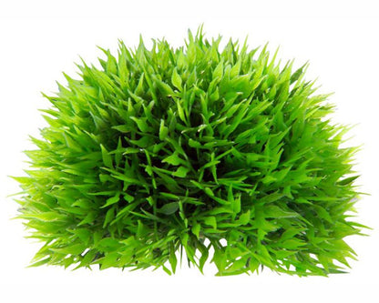 Hobby Decoratie Aqua Plant Ball 18 CM