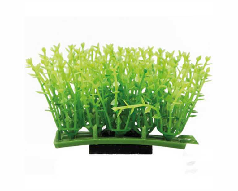 Hobby Plant Pad 1 7X4.5X5.5 CM