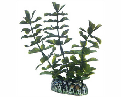 Hobby Plant Bacopa 13 CM