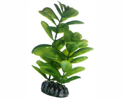 Hobby Plant Saururus 16 CM