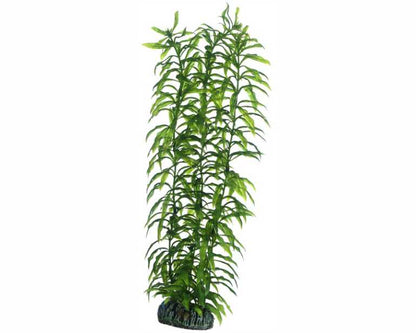 Hobby Plant Heteranthera 34 CM