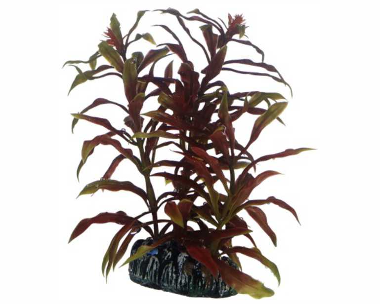 Hobby Plant Nesaea 13 CM