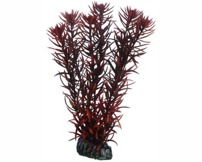 Hobby Plant Eusteralis 20 CM