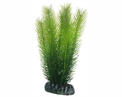 Hobby Plant Mayaca 16 CM