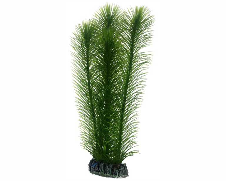Hobby Plant Mayaca 25 CM