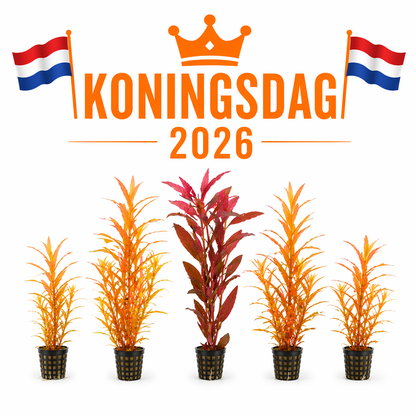 Het Oranje Pakket