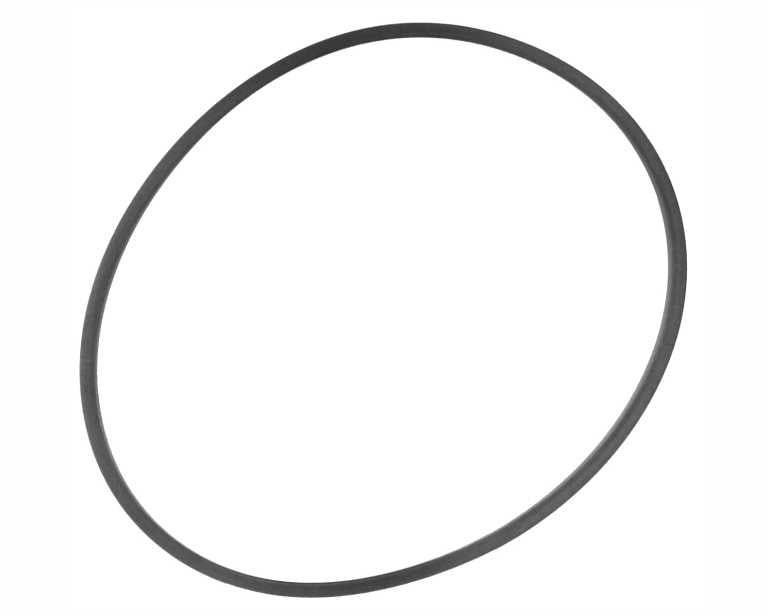 Dennerle O-Ring Voor Skimfilter
