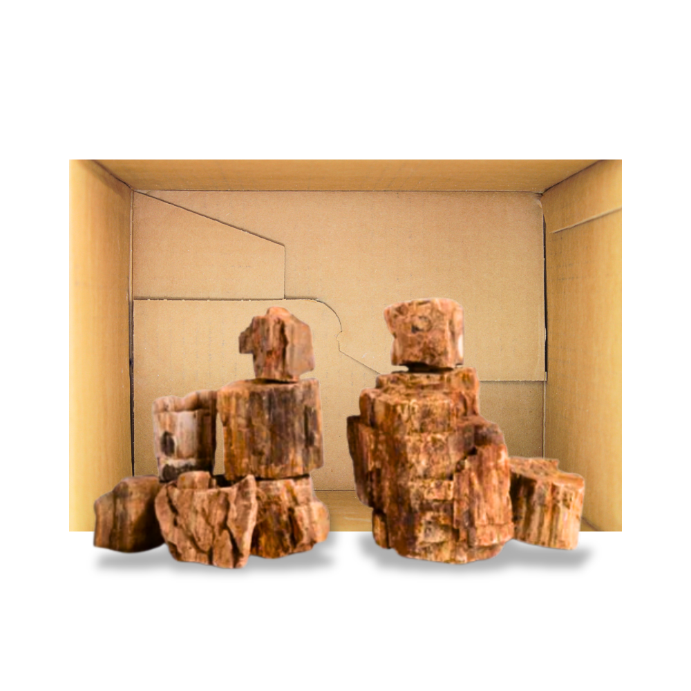 Fossilized wood stone