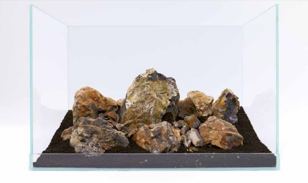Fossilized wood stone