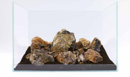 Fossilized wood stone