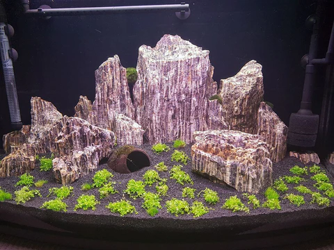 Glimmer Wood rock