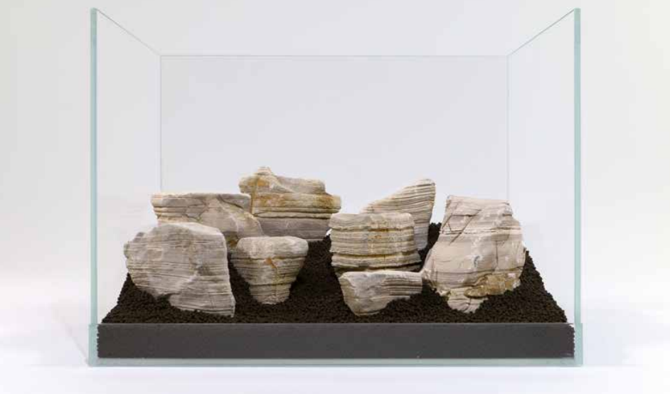 Gobi rock