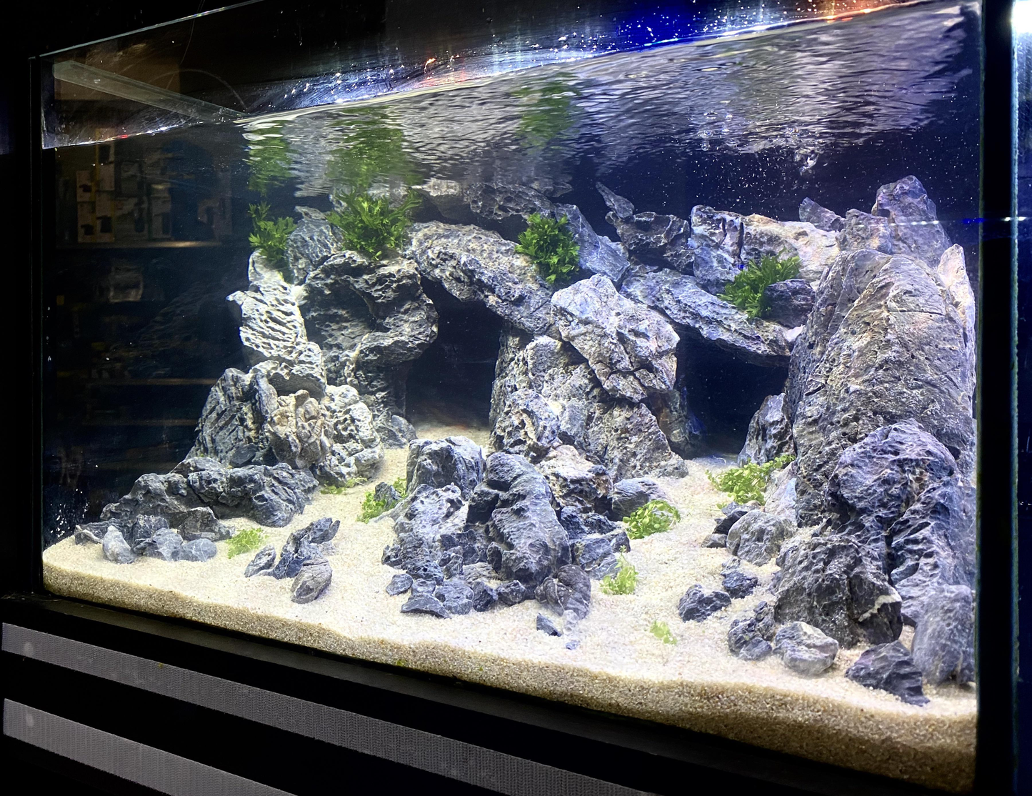 Mini Landscape stone