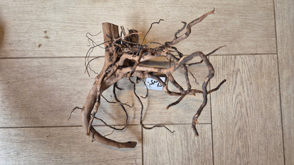 Spiderwood dark SP13