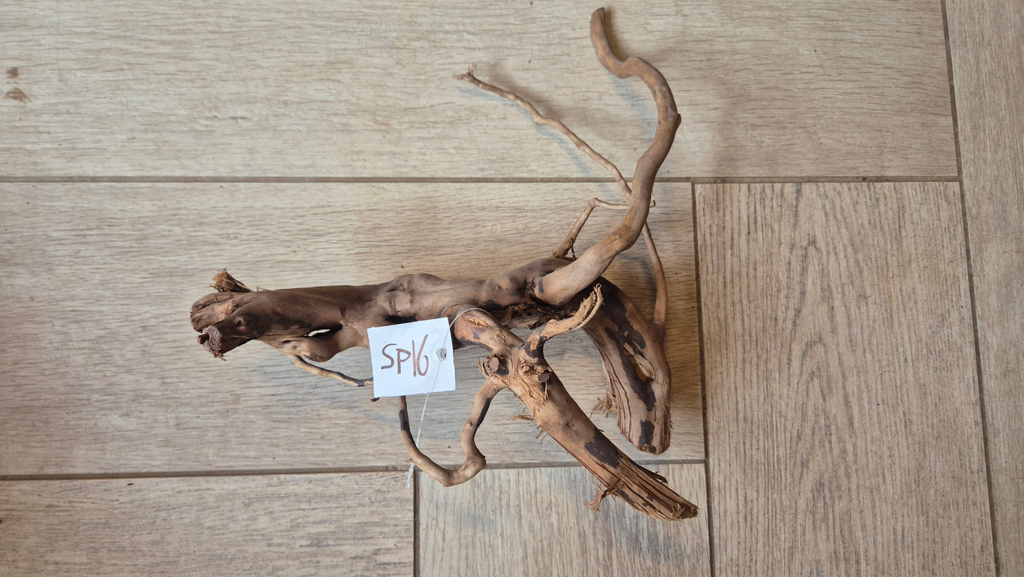 Spiderwood dark SP16