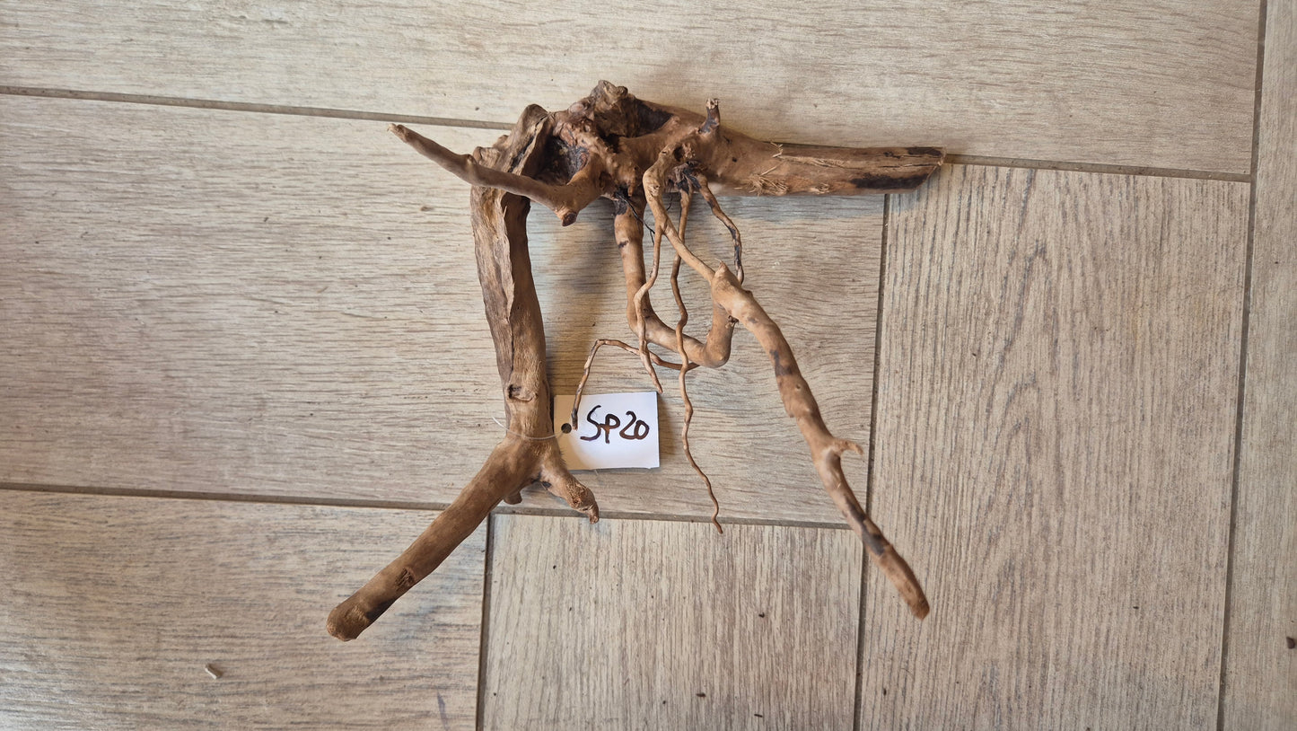 Spiderwood dark SP20