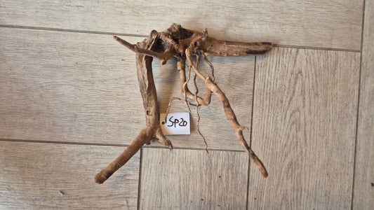 Spiderwood dark SP20