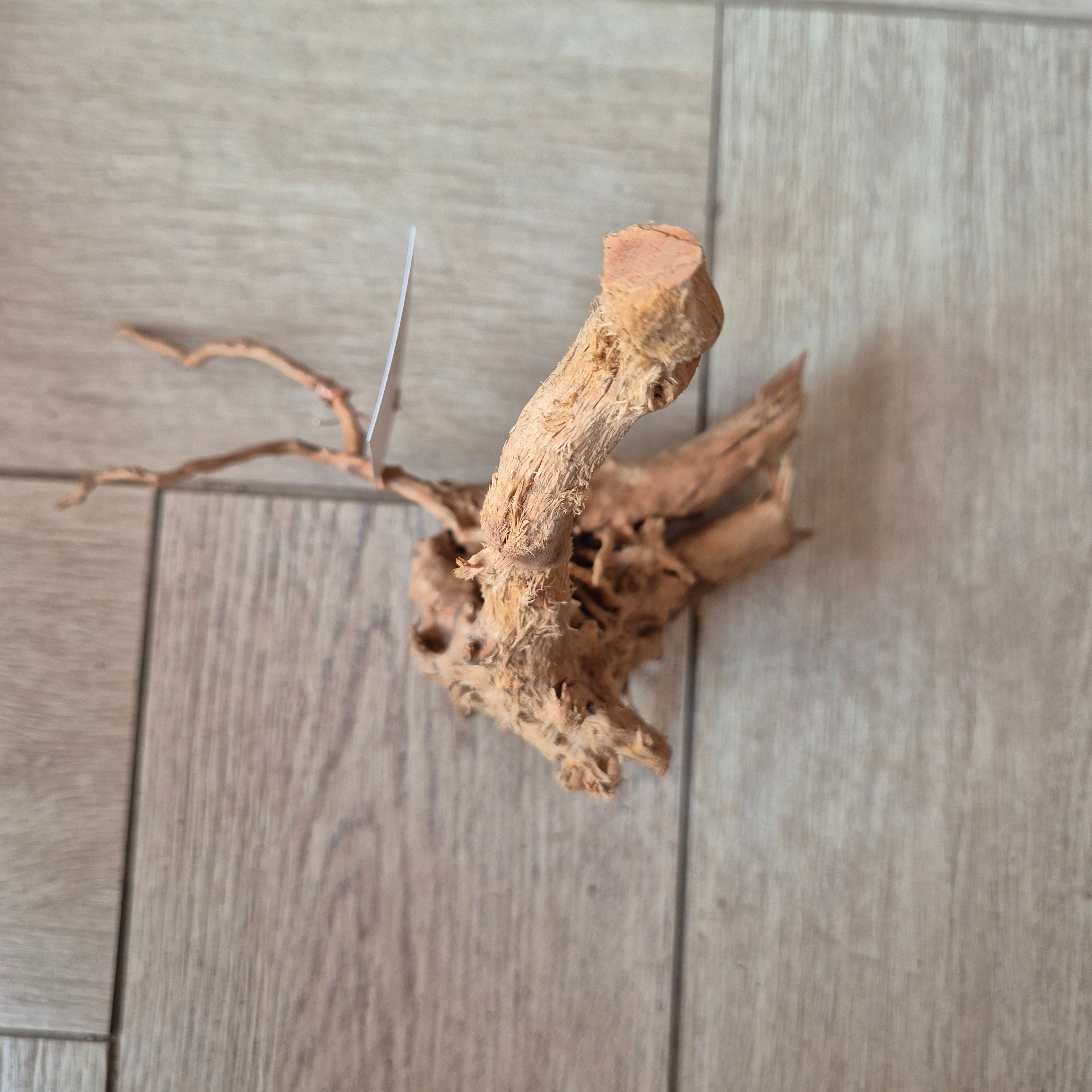 Spider wood Red SP5
