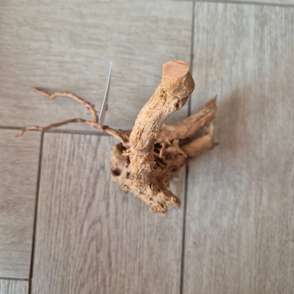 Spider wood Red SP5