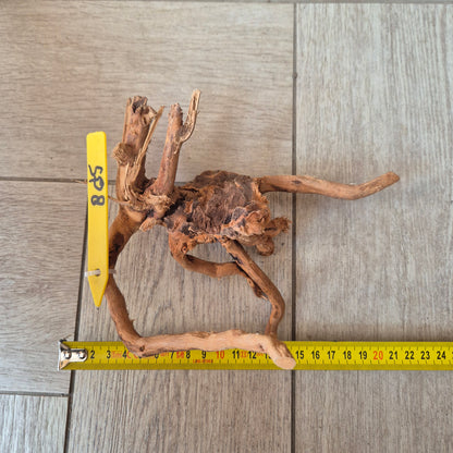 Spider wood Red SP8