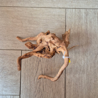 Spider wood Red SP8