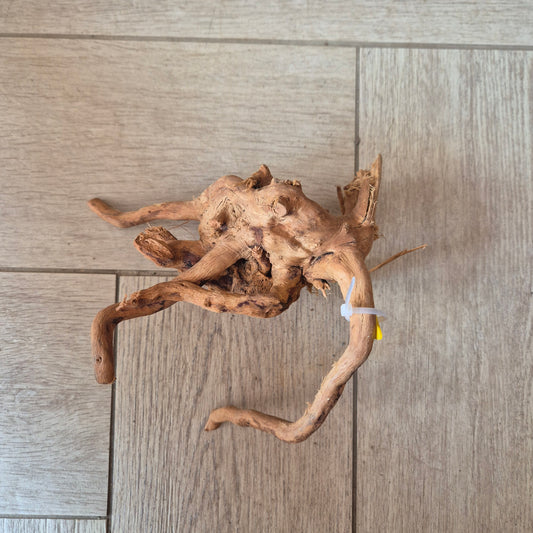 Spider Wood Red SP8