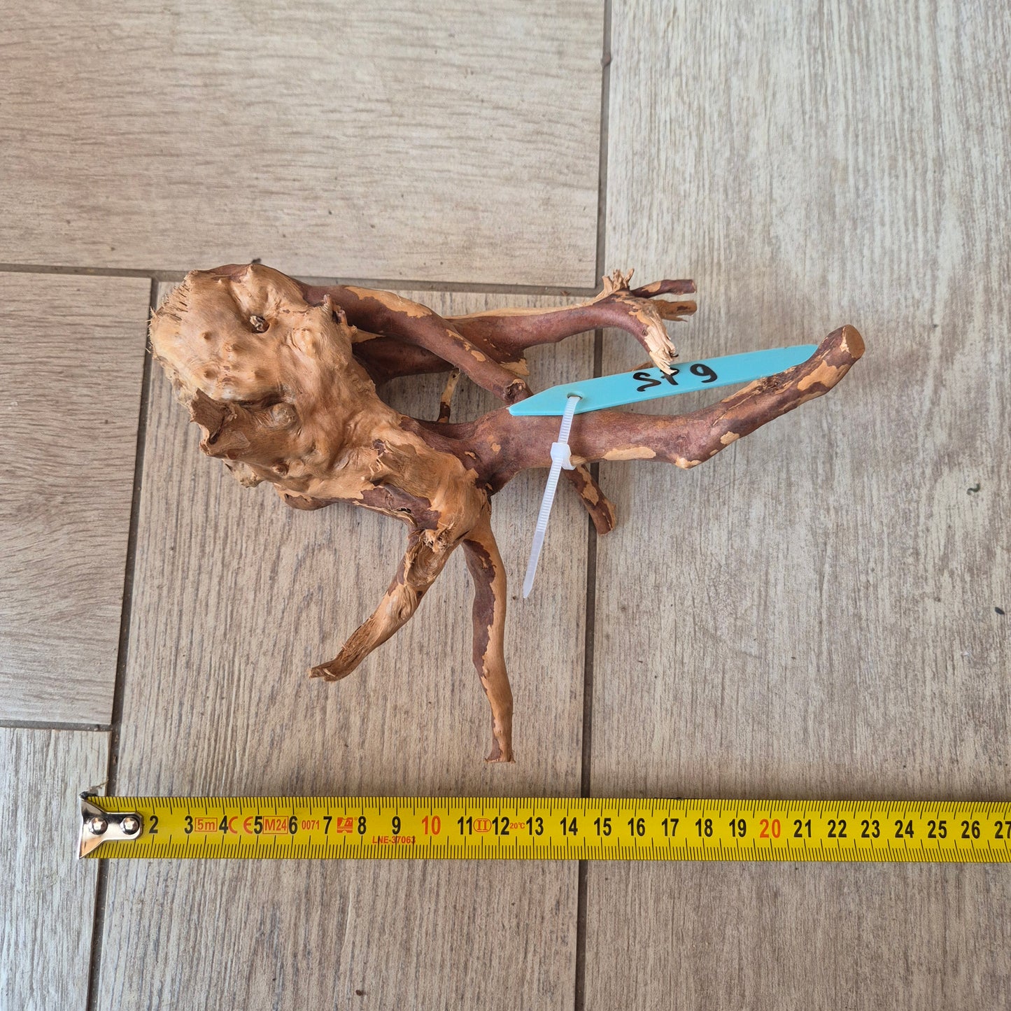 Spider wood Red SP9