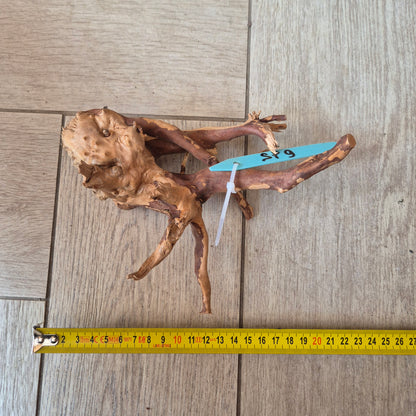 Spider wood Red SP9