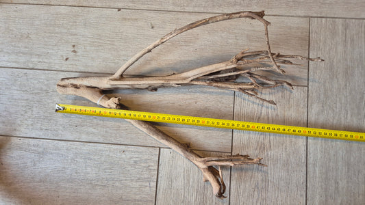 Talawa wood T4
