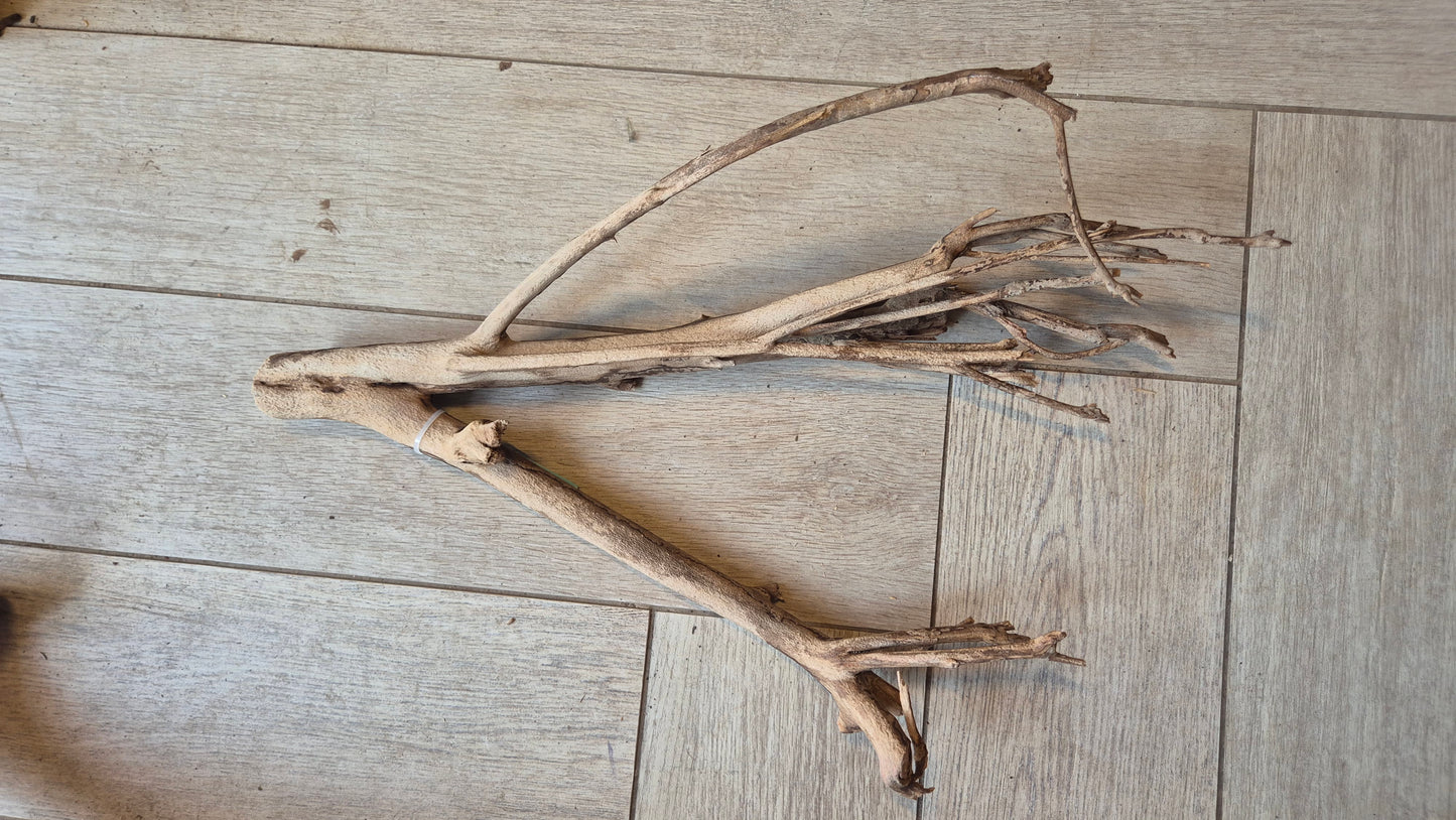 Talawa hout T4