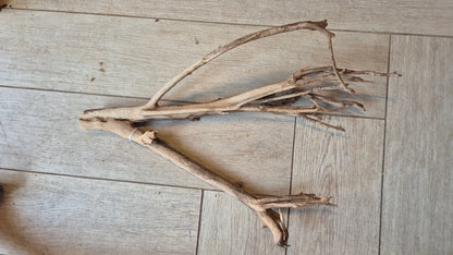 Talawa hout T4