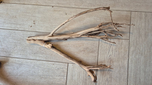 Talawa wood T4