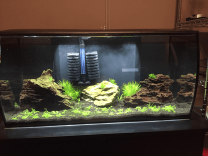 Hobby Bubble Air Filter